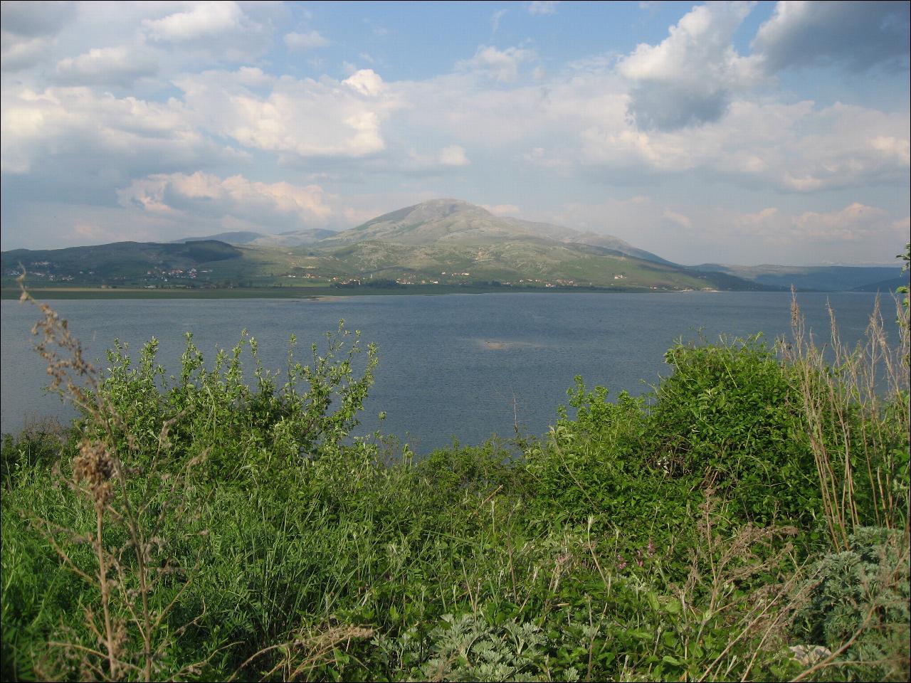 Livno